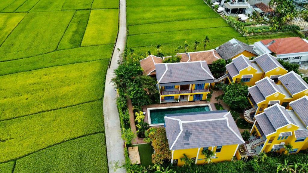 Chez Mimosa Hội An – Rice Field