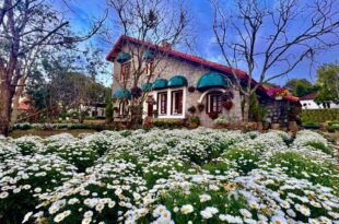 Dalat Train Village