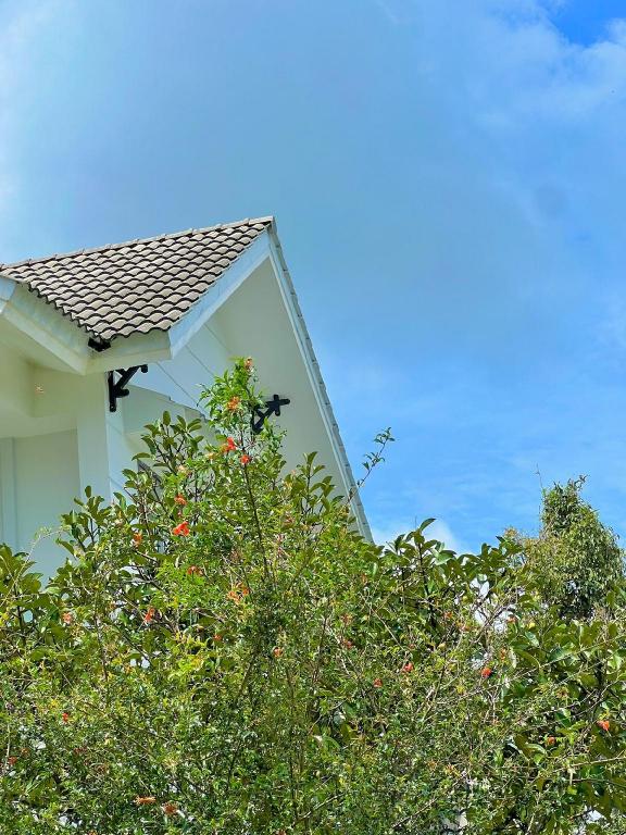 Hoa Boutique Homestay – Bảo Lộc