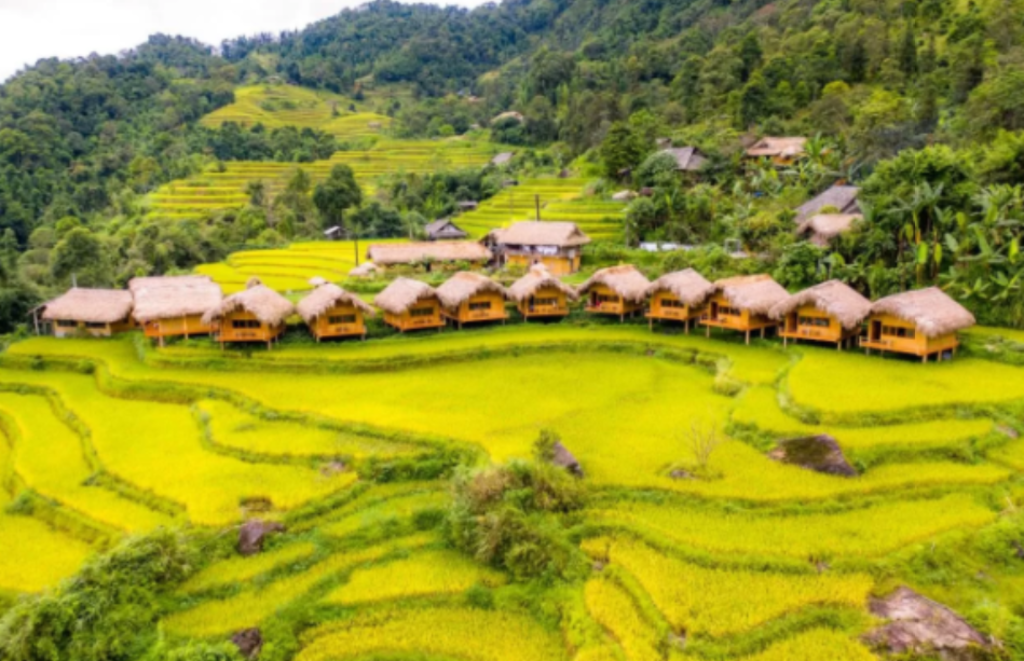 Hoàng Su Phì Lodge