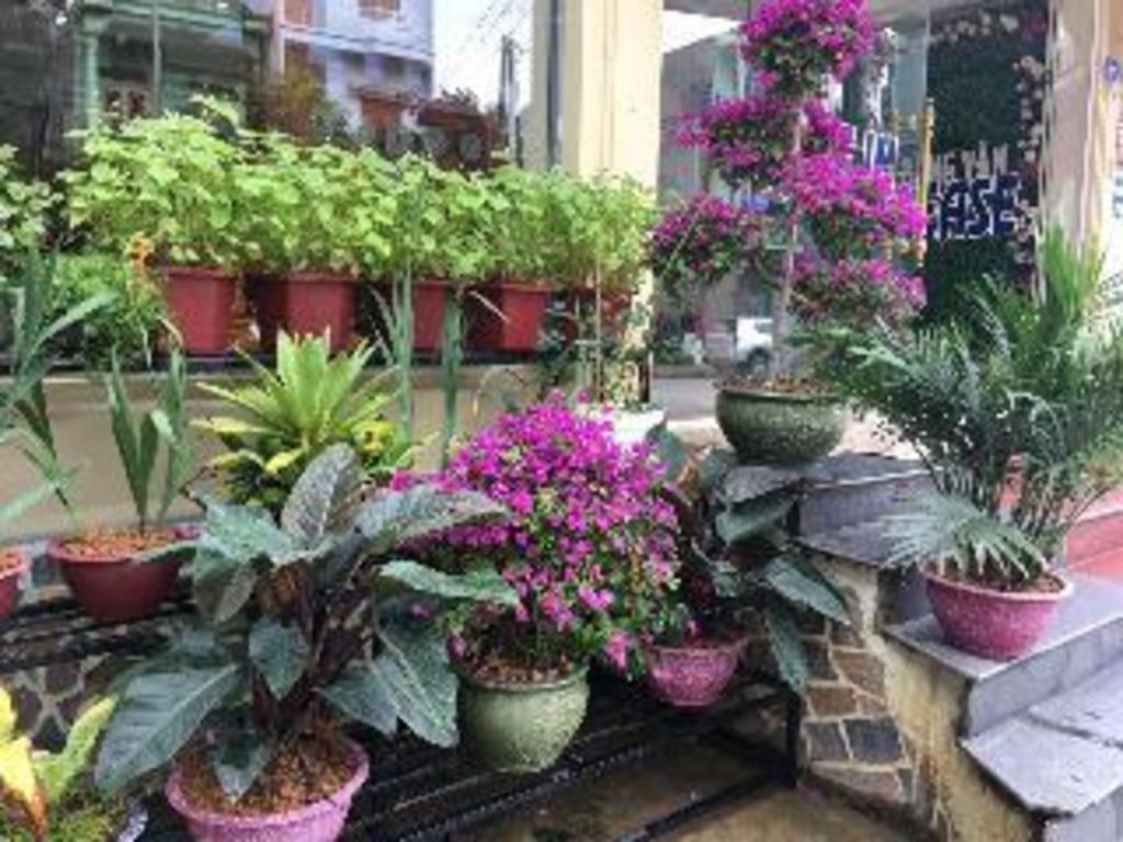 Khách sạn Hoàng Ngọc