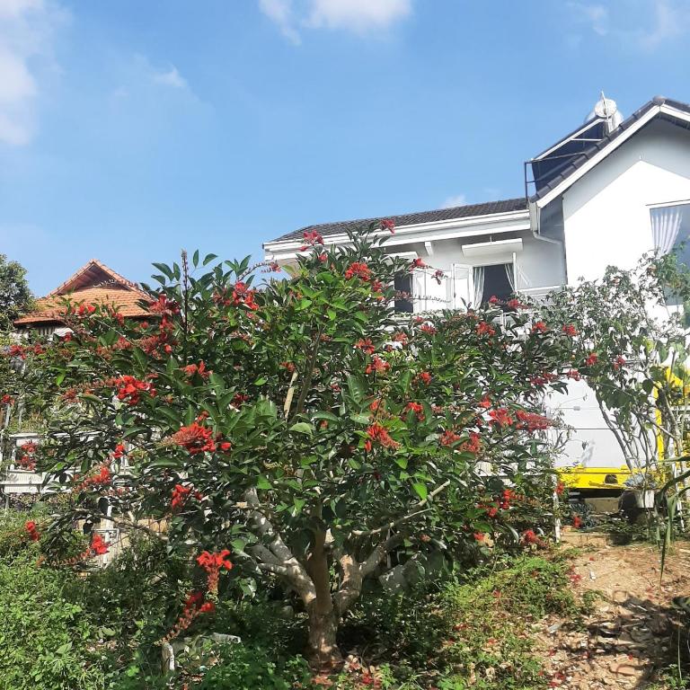 MIA Villa Đà Lạt