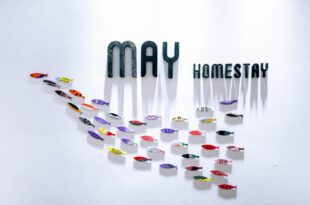 May Homestay Sầm Sơn