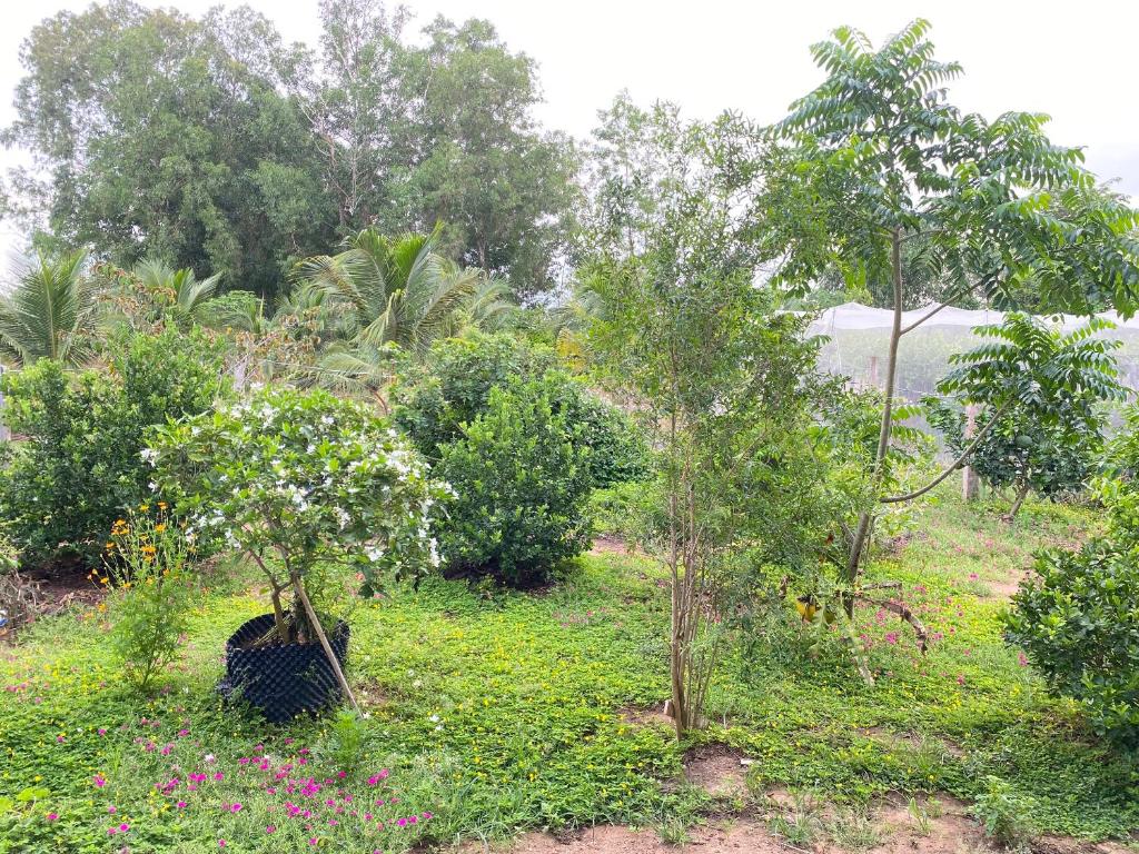 Summer Stations Homestay Binh Chau