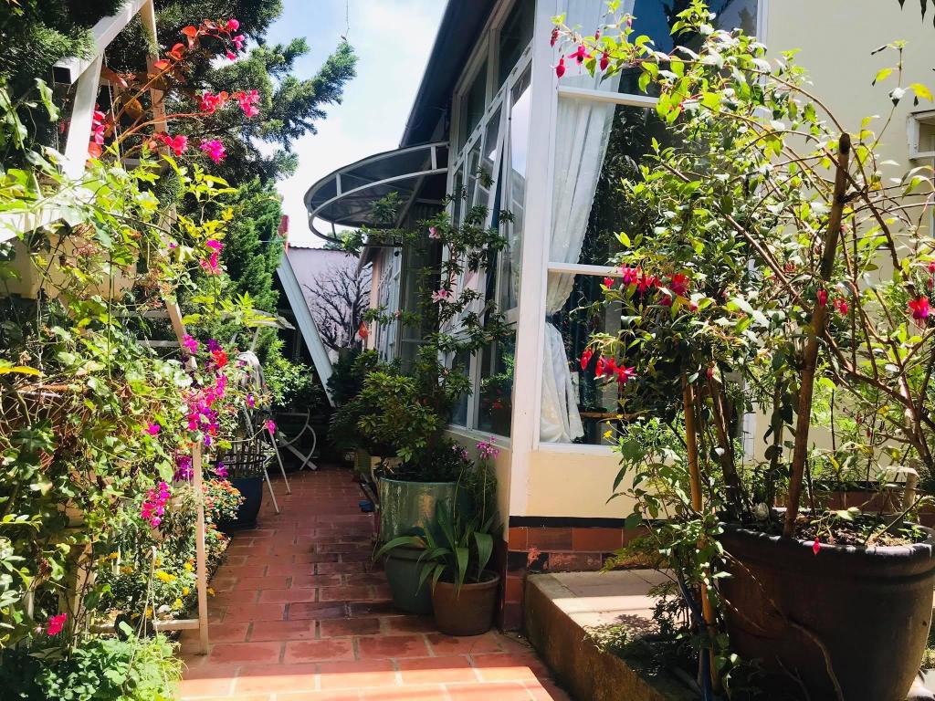 Vườn Tùng Homestay