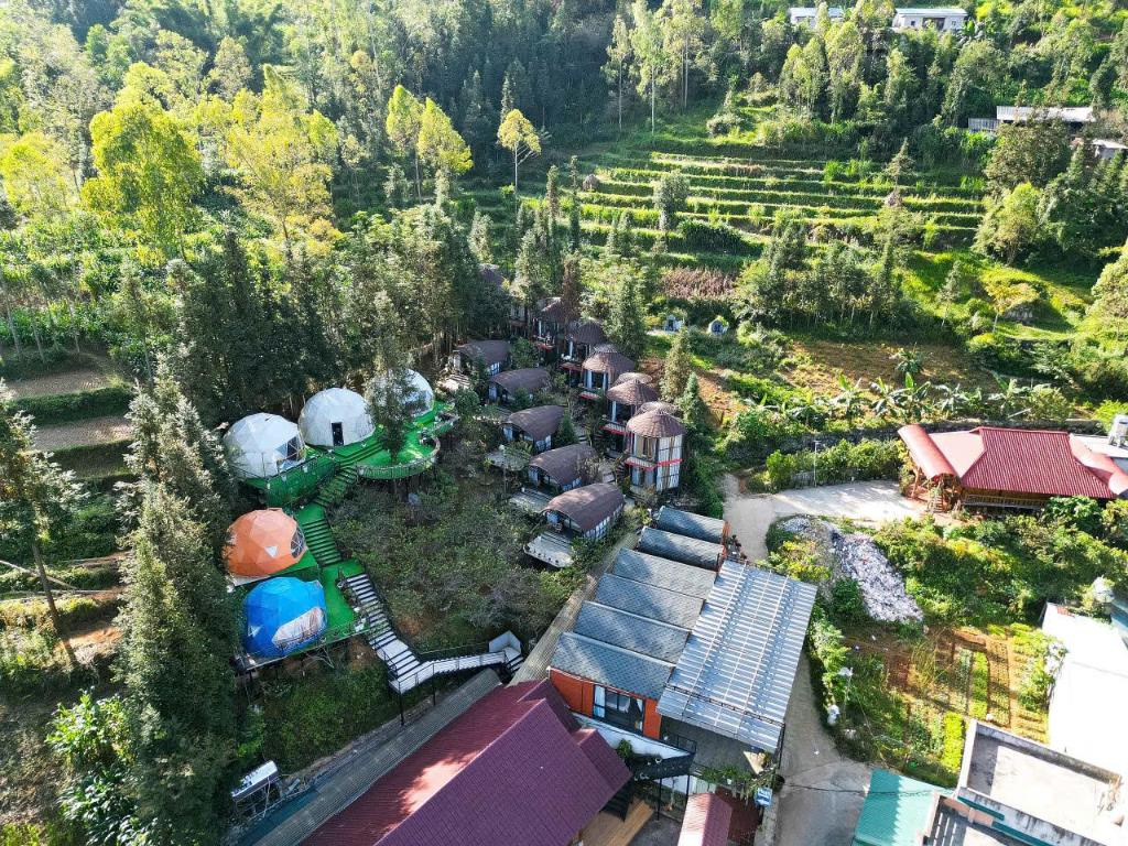 PLUM HOMESTAY