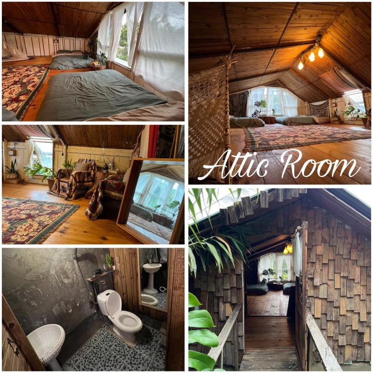 Phong Lu Homestay Dalat