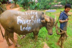 Pu Luong Riverside Lodge