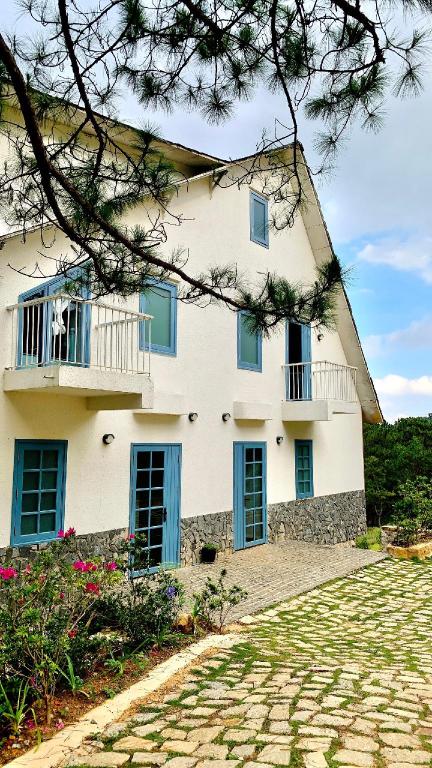 Triền Thông An Nhiên Đà Lạt Rừng Trong Phố