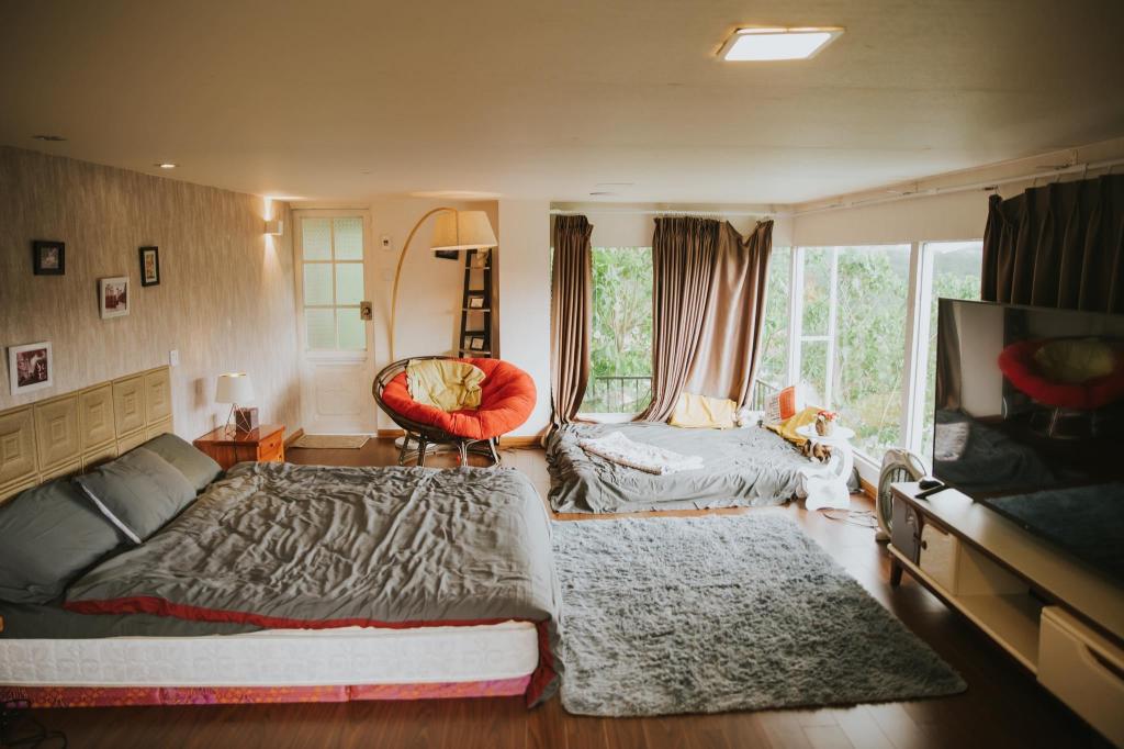 Full house with pine forest view