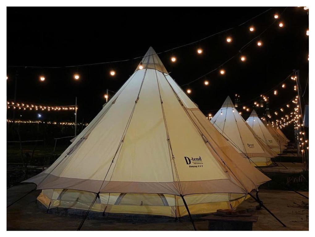 Châu Đốc – Hanif Glamping