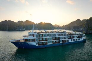 ERINA CRUISE