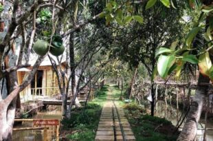 Hide Away Bungalows in Ben Tre City