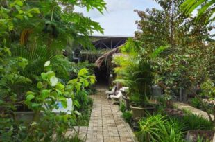 Homestay Bảo Bình