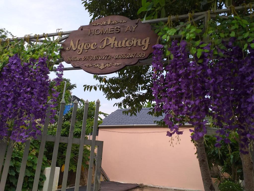 Homestay Ngọc Phượng view đồi Hòn Sơn