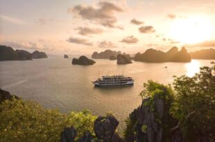 Le Journey Elegance Cruise