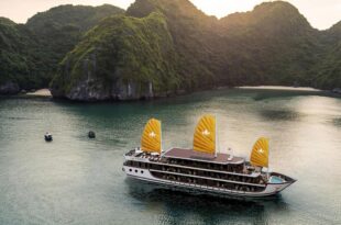 Majesty Prime Cruise
