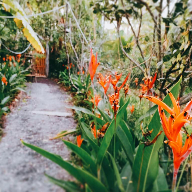 Nông Trại Thảnh Thơi
