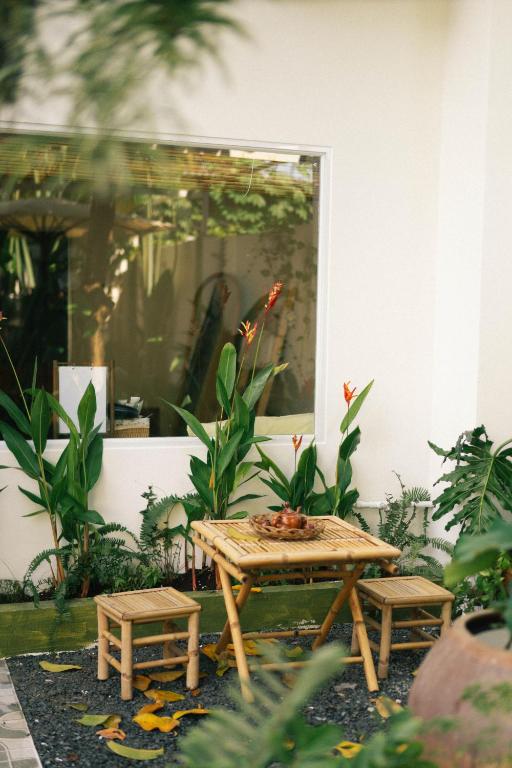 Phòng Mơ – Nhà Mơ Homestay Bến Tre