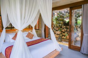 2 Seasons : Villa star – Luxury with private pool