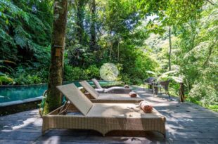 A stunning antique style & a nature sanctuary