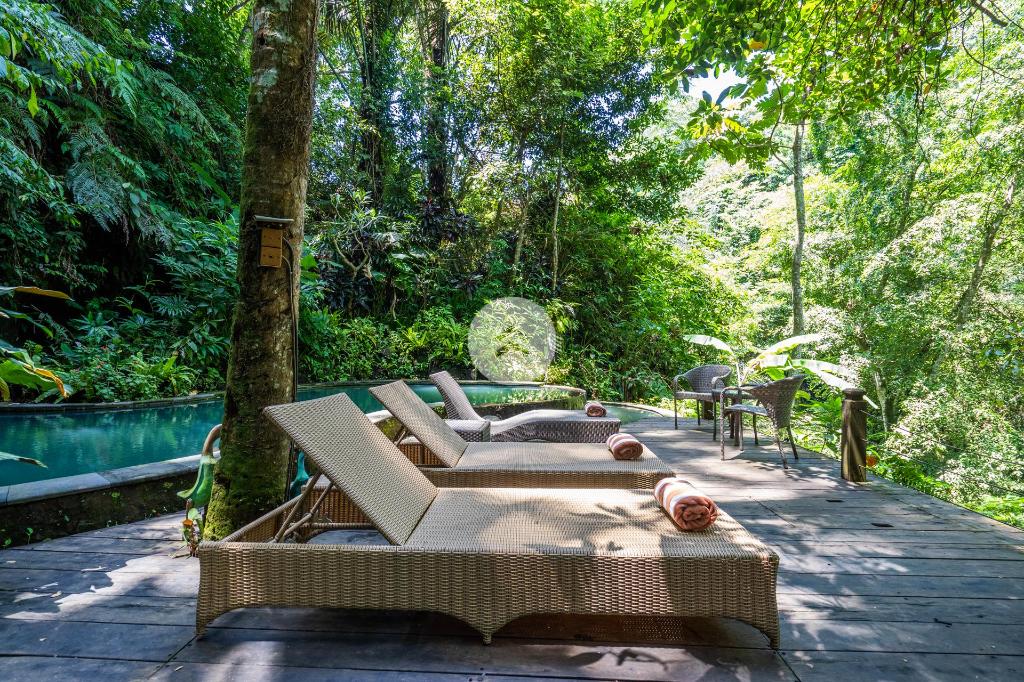 A stunning antique style & a nature sanctuary