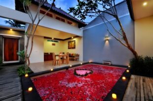 Amazing 1BR Private Pool Villla In Ubud Bali