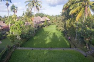 Ananda Ubud Resort