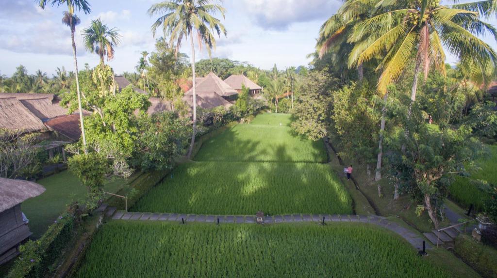 Ananda Ubud Resort