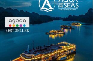 Aqua Of The Seas Cruise