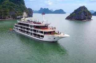 Aspira Cruise