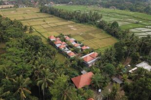 Asri Sari Ubud Resort and Villa