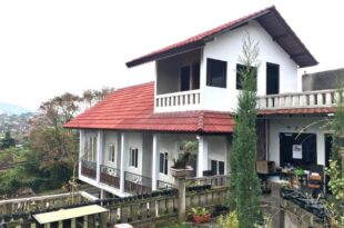 Ayudia Camp Bali