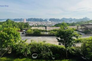 BT6B-15 FLC Ha Long
