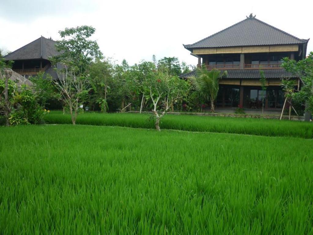 Bliss Ubud Spa Resort