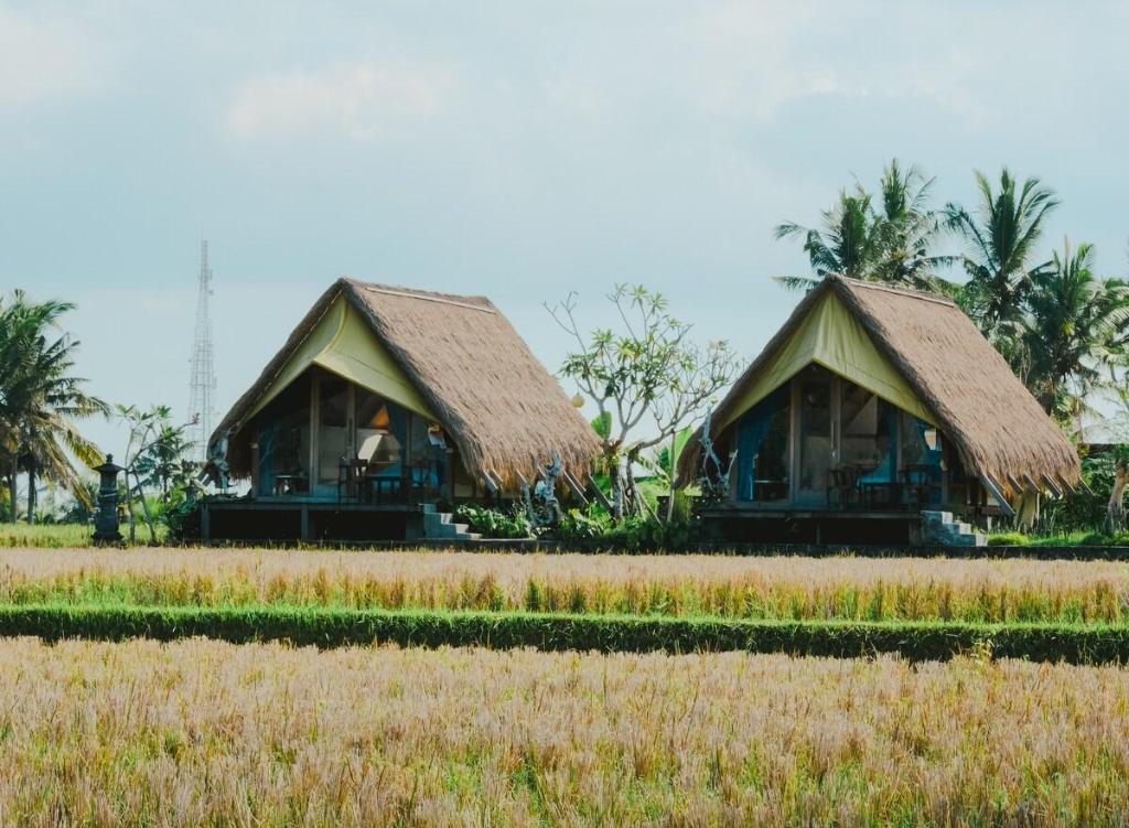 Cabin Benih – beautiful ricefield view!