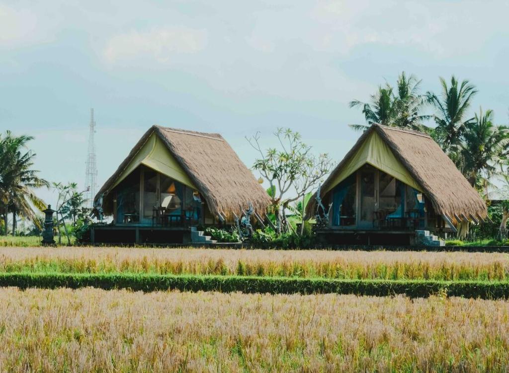 Cabin Lumbung – beautiful ricefield view!