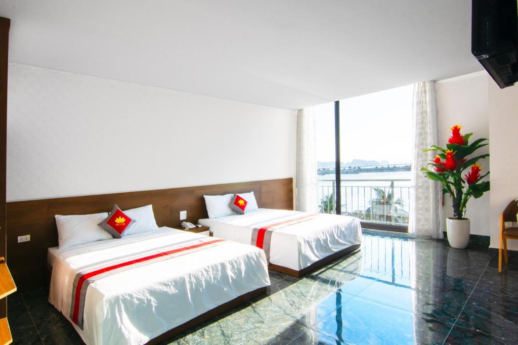 Camellia Tuần Châu