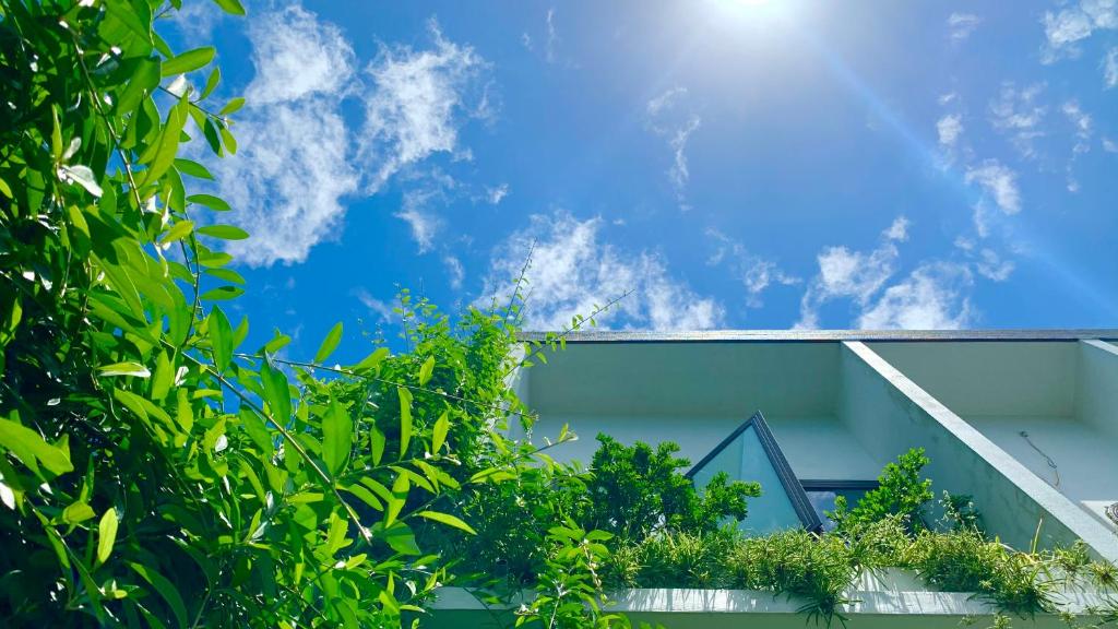 Coto Center Homestay