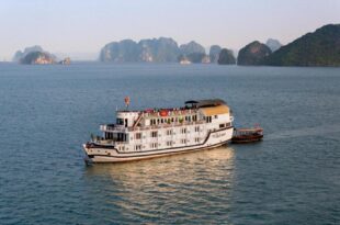 Du Thuyền Paloma Cruise Hạ Long