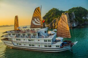 Du thuyền Bhaya Hạ Long