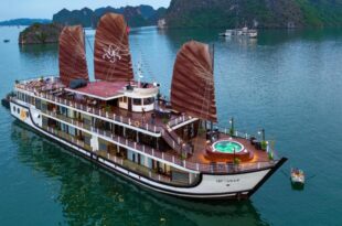 Du thuyền Orchid Classic