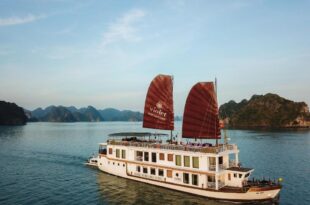 Du thuyền tuyến di sản Violet Cruise – Vịnh Hạ Long và Vịnh Lan Hạ