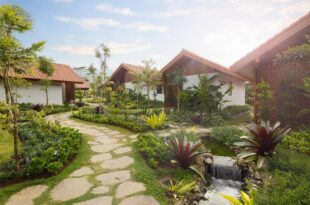 Dusun Bedugul Asri