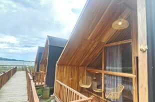 Dynasty Glamping Bedugul