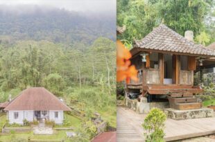 Four Monkeys House