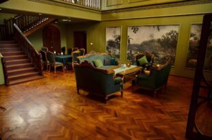 Golden Goose Villas