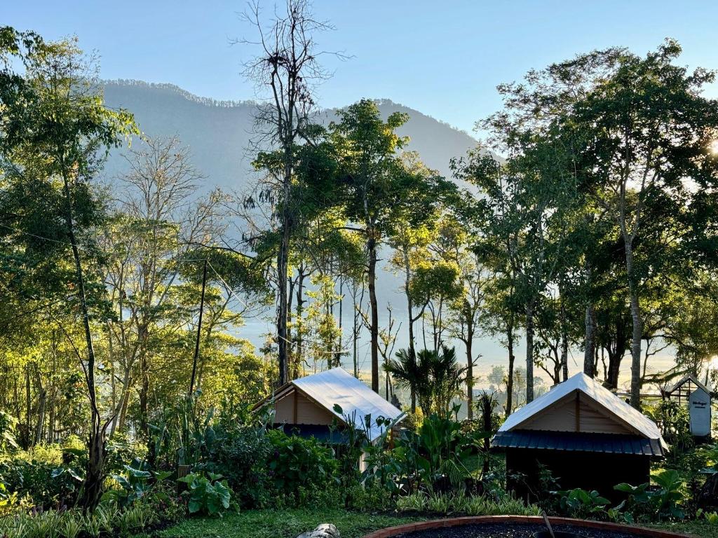 Green Lava Lake View Glamping Bedugul
