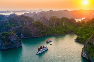 Halong Arcadia Cruise