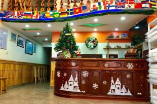 Halong Central Hotel